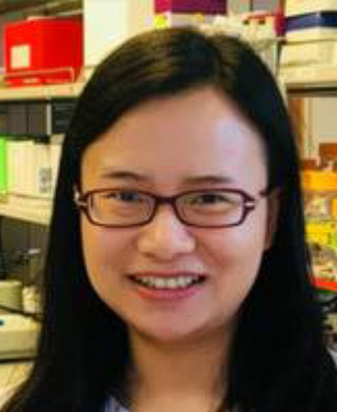 Yue Rui